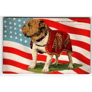 Sgt James Jolly Duff Duffy Bulldog Dog San Diego Marines Military Postcard 1943